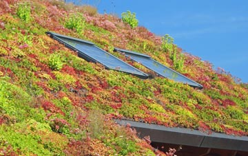 Ryme Intrinseca living roof systems