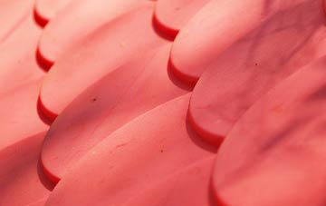 Ryme Intrinseca plastic roof costs