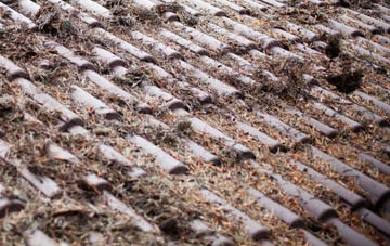 Ryme Intrinseca roof cleaning companies