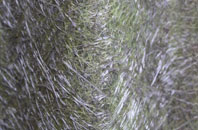 Ryme Intrinseca fibreglass roof work