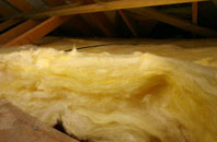 Ryme Intrinseca pitch roof insulation