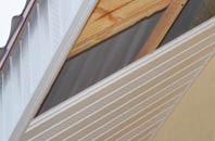 rated Ryme Intrinseca soffit repair companies